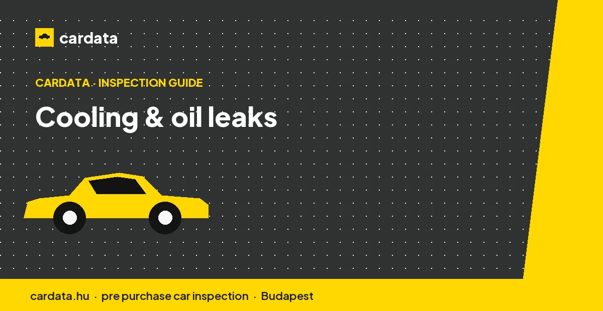 The cooling system and oil leaks are classic BMW 3 Series attention points.