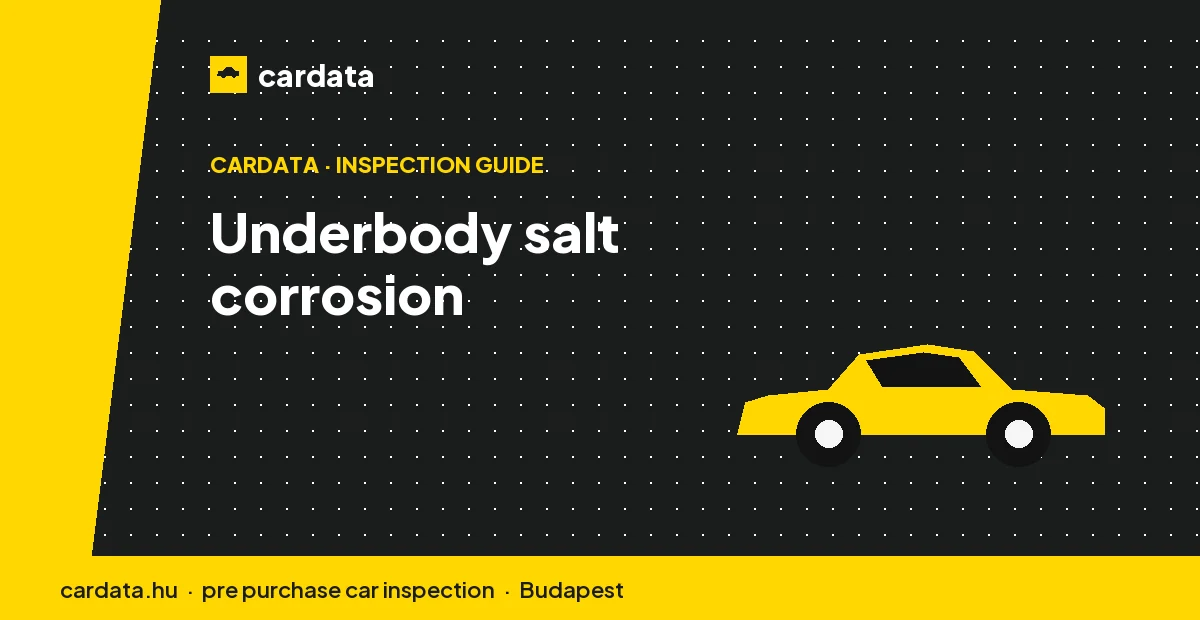 An inspector examining the underside of an Austrian car for salt-driven corrosion on the brake lines, sills and rear subframe.