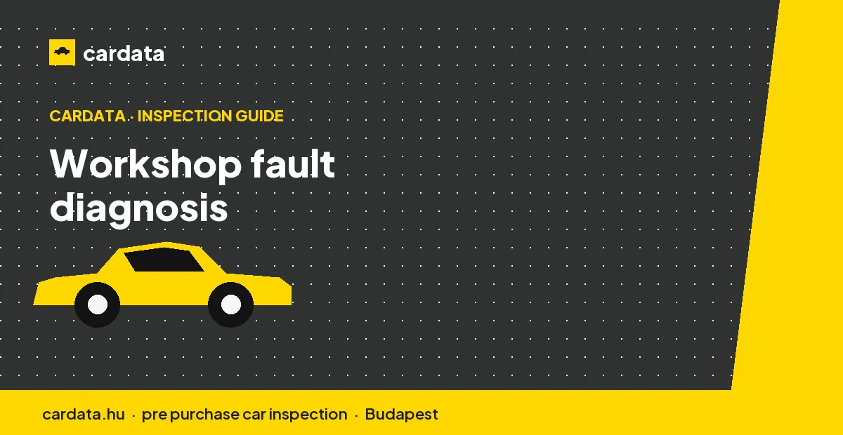 A technician connecting a diagnostic reader to a recently purchased car to document a fault and estimate when it began.