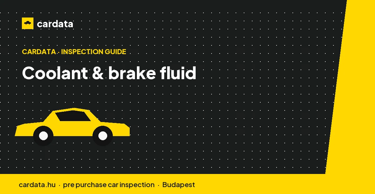 Rusty coolant or dark, moisture-laden brake fluid points to a maintenance schedule that has slipped.