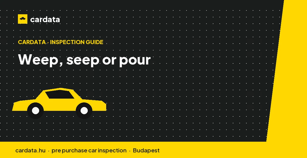 The rate of a leak matters as much as its presence when judging a used car.